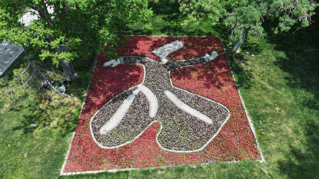 1,8 milyon çiçek, açtı: İşte göz kamaştıran Konya park ve caddeleri 10